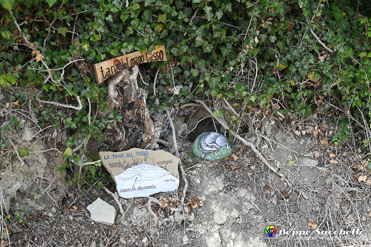 VBS_3085 - Mango (Cuneo) - Gnomovia.jpg
